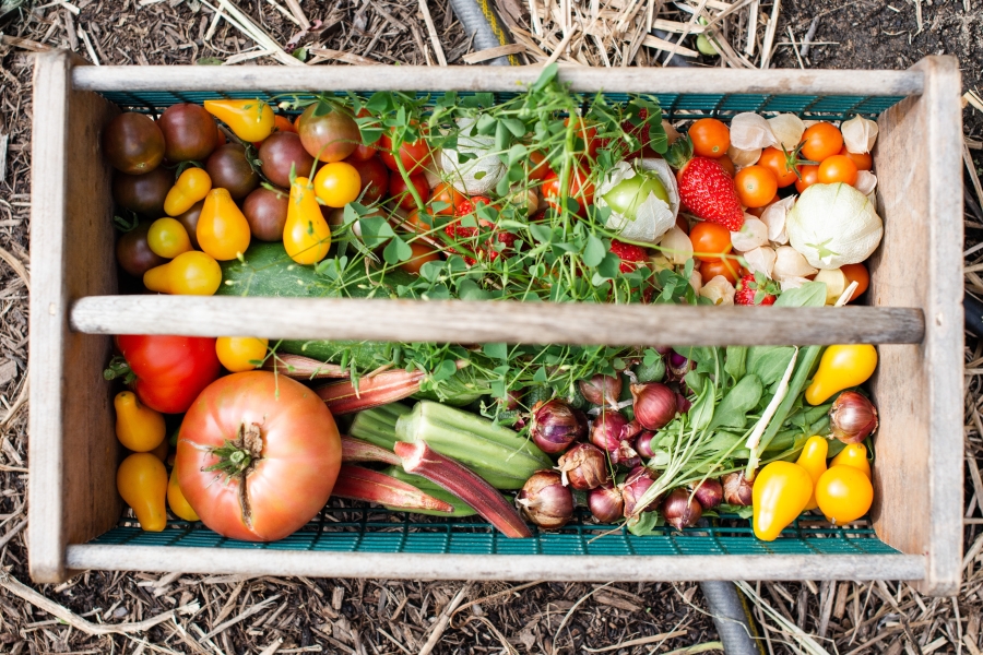 Basket with fresh produce